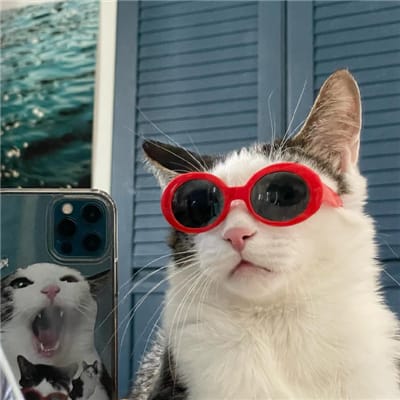 Dewi Sartika avatar